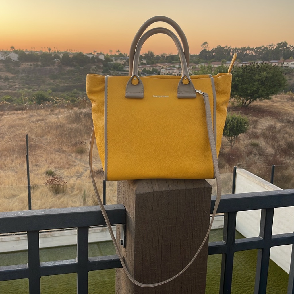 Authentic See By Chloe Crossbody Shoulder Bag